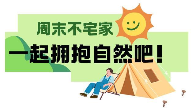 去TOP露营星光夜·电竞嘉年华!AG真人活动丨就在这个周末一起(图3) 去TOP露营星光夜·电竞嘉年华!AG真人活动丨就在这个周末一起(图3)